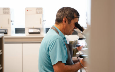 Lorem ipsum dolor sit amet